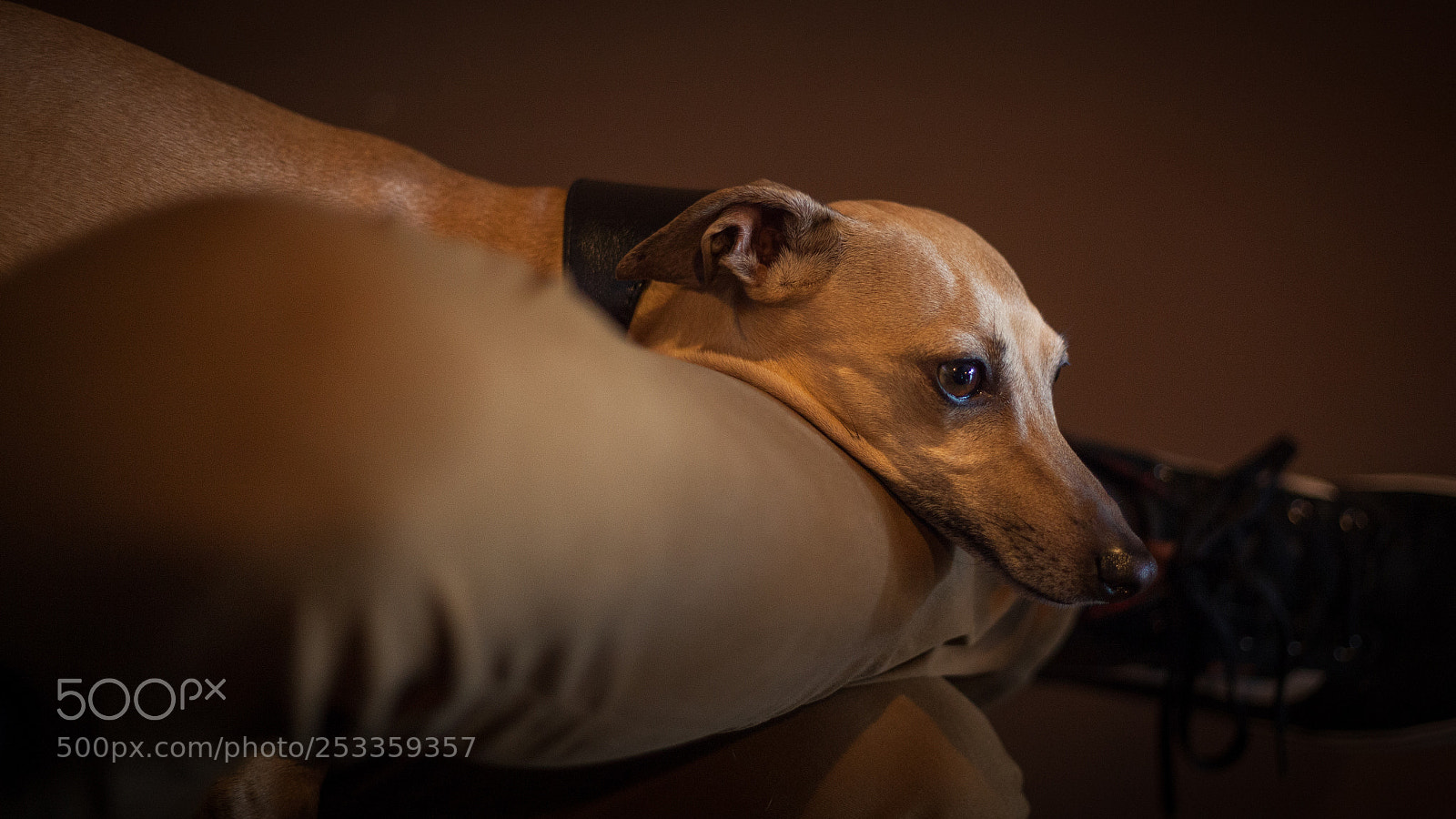 Canon EOS 5D Mark II sample photo. Peace photography