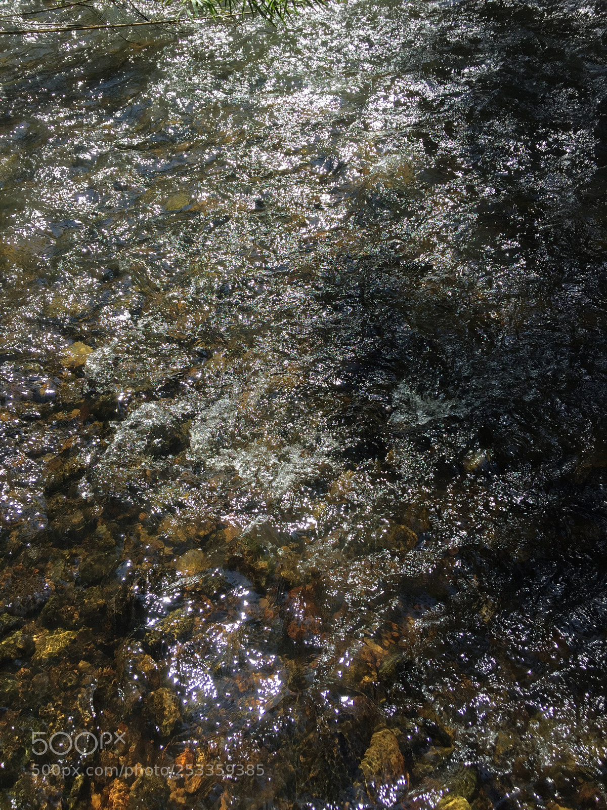 Apple iPhone 6 sample photo. Untitled photography