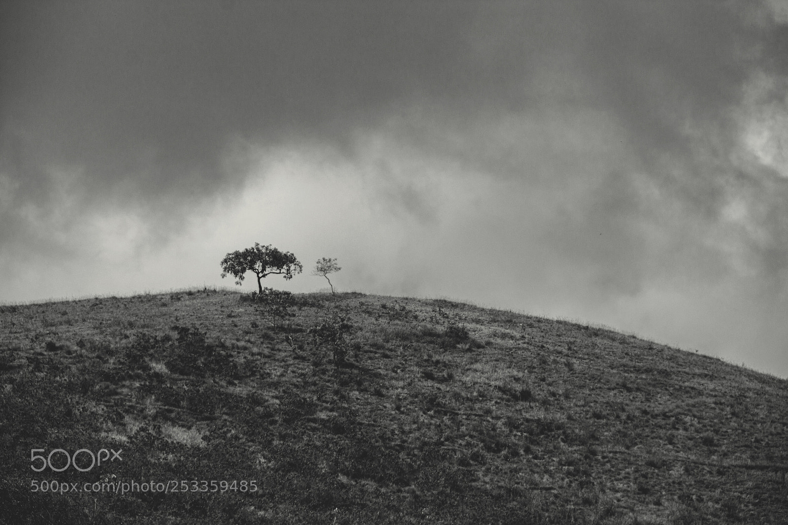 Canon EOS 60D sample photo. After a storm comes photography