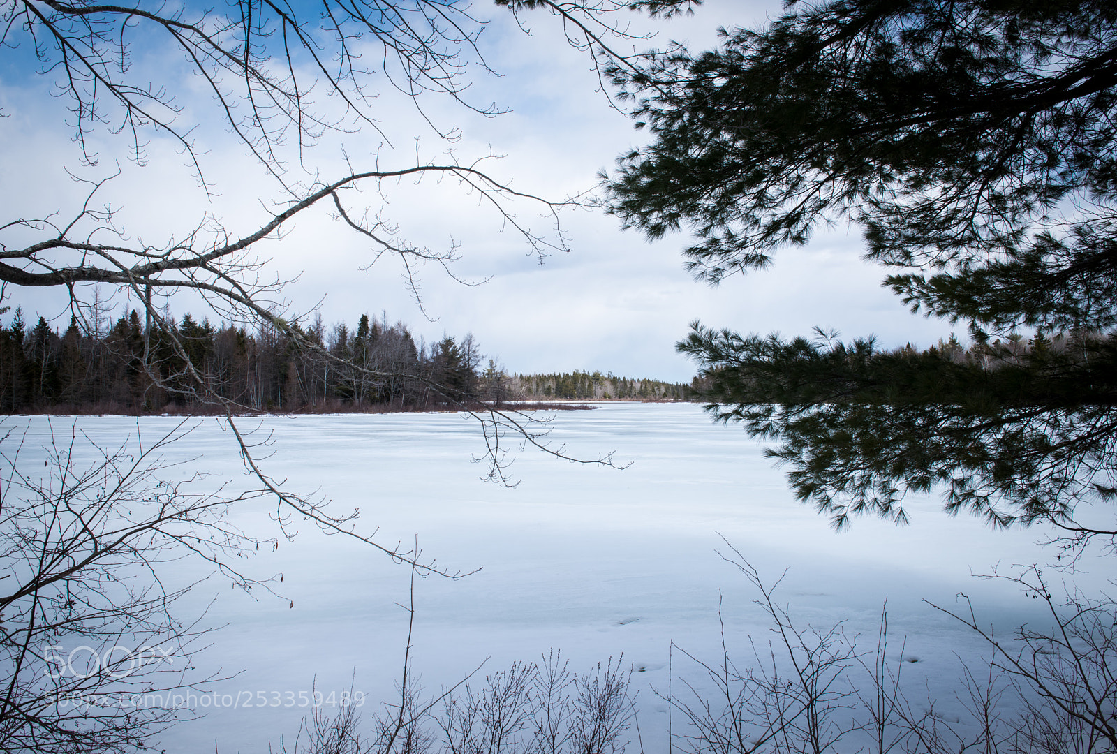 Nikon D810 sample photo. Spring 2018 photography