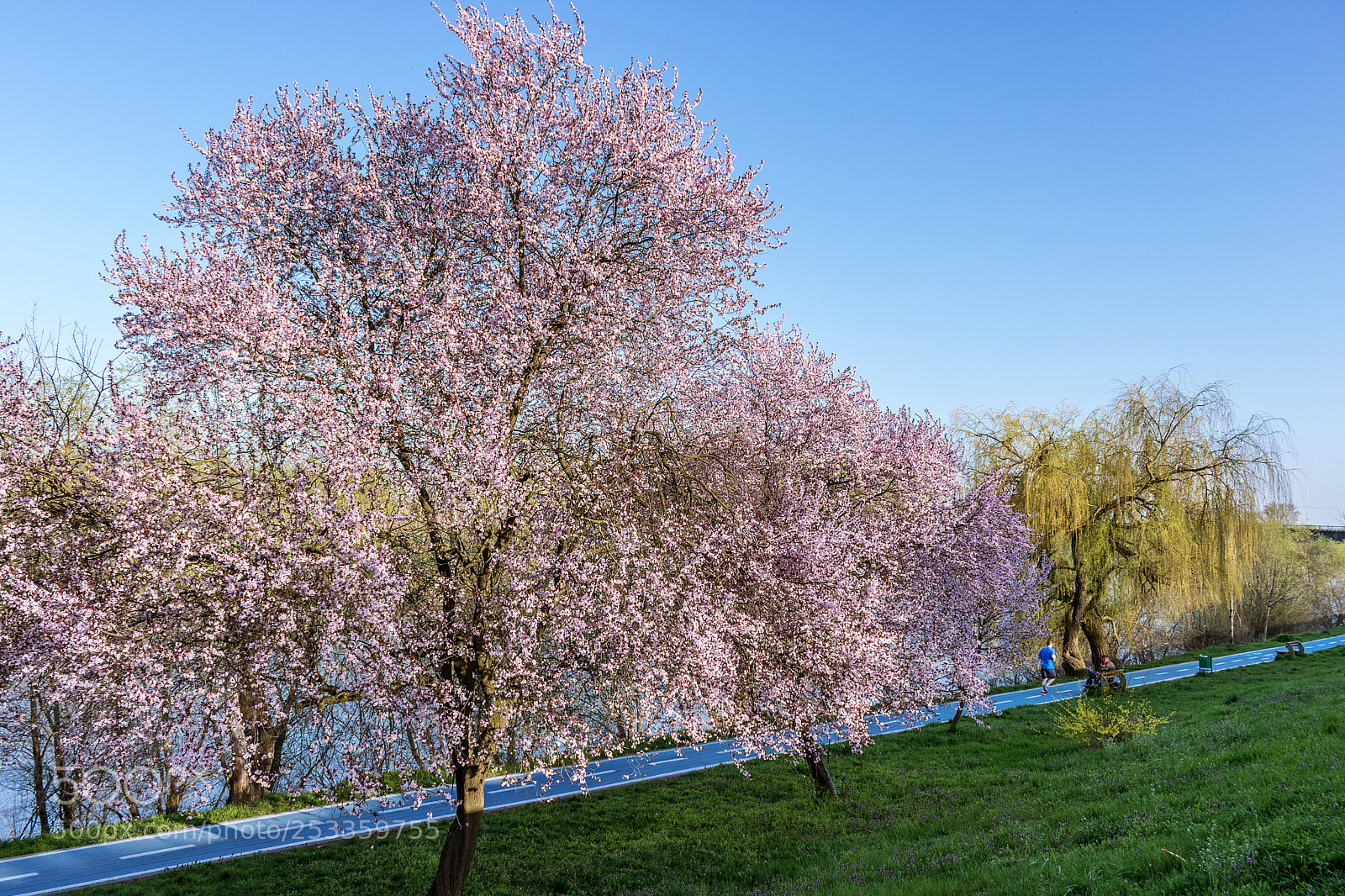 Canon EOS 750D (EOS Rebel T6i / EOS Kiss X8i) sample photo. April colors photography