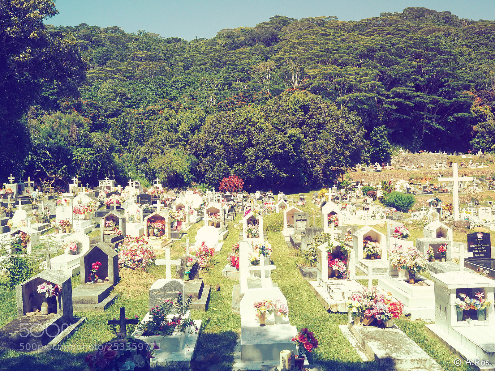 Olympus PEN-F sample photo. Rest in peace photography