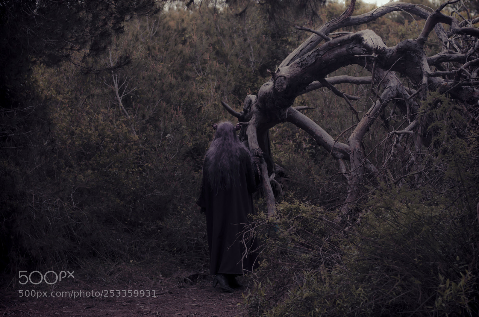 Nikon D7000 sample photo. Witch photography