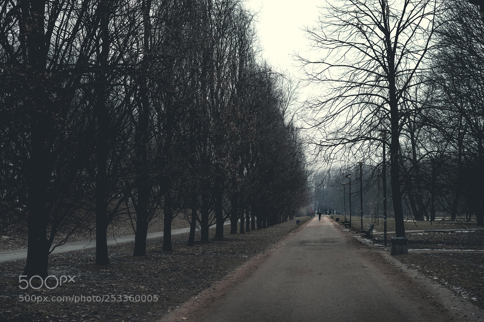 Sony a7 sample photo. Dsc photography
