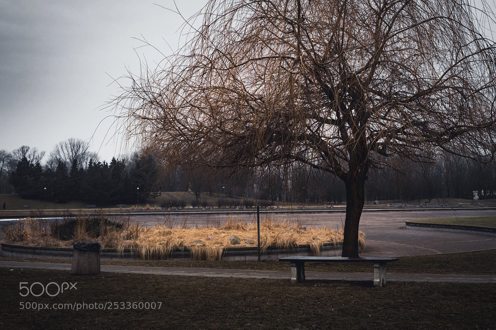Sony a7 sample photo. Dsc photography