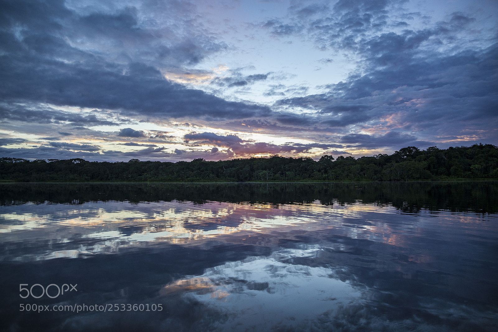 Canon EOS 5D Mark II sample photo. Yasuni national park photography