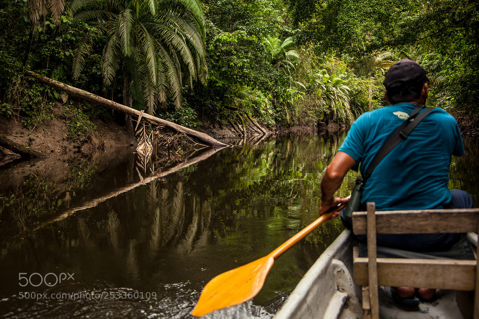 Canon EOS 5D Mark II sample photo. Yasuni national park photography