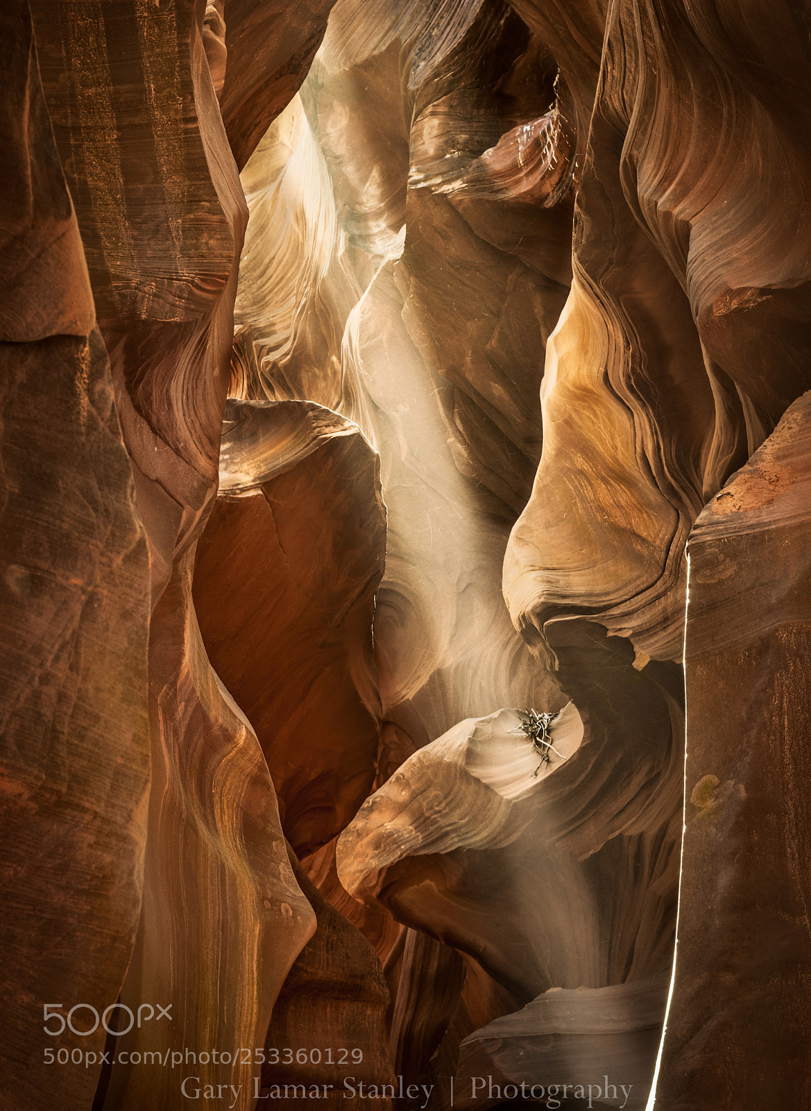 Nikon D810 sample photo. Upper antelope fantasy photography