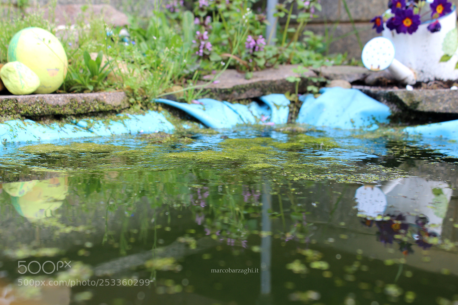 Canon EOS 600D (Rebel EOS T3i / EOS Kiss X5) sample photo. Garden - the pond photography