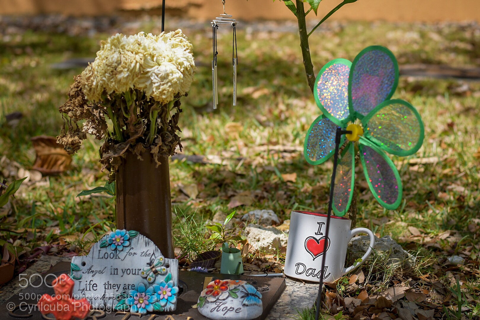 Nikon D5500 sample photo. Ofrenda a papa no.2 photography