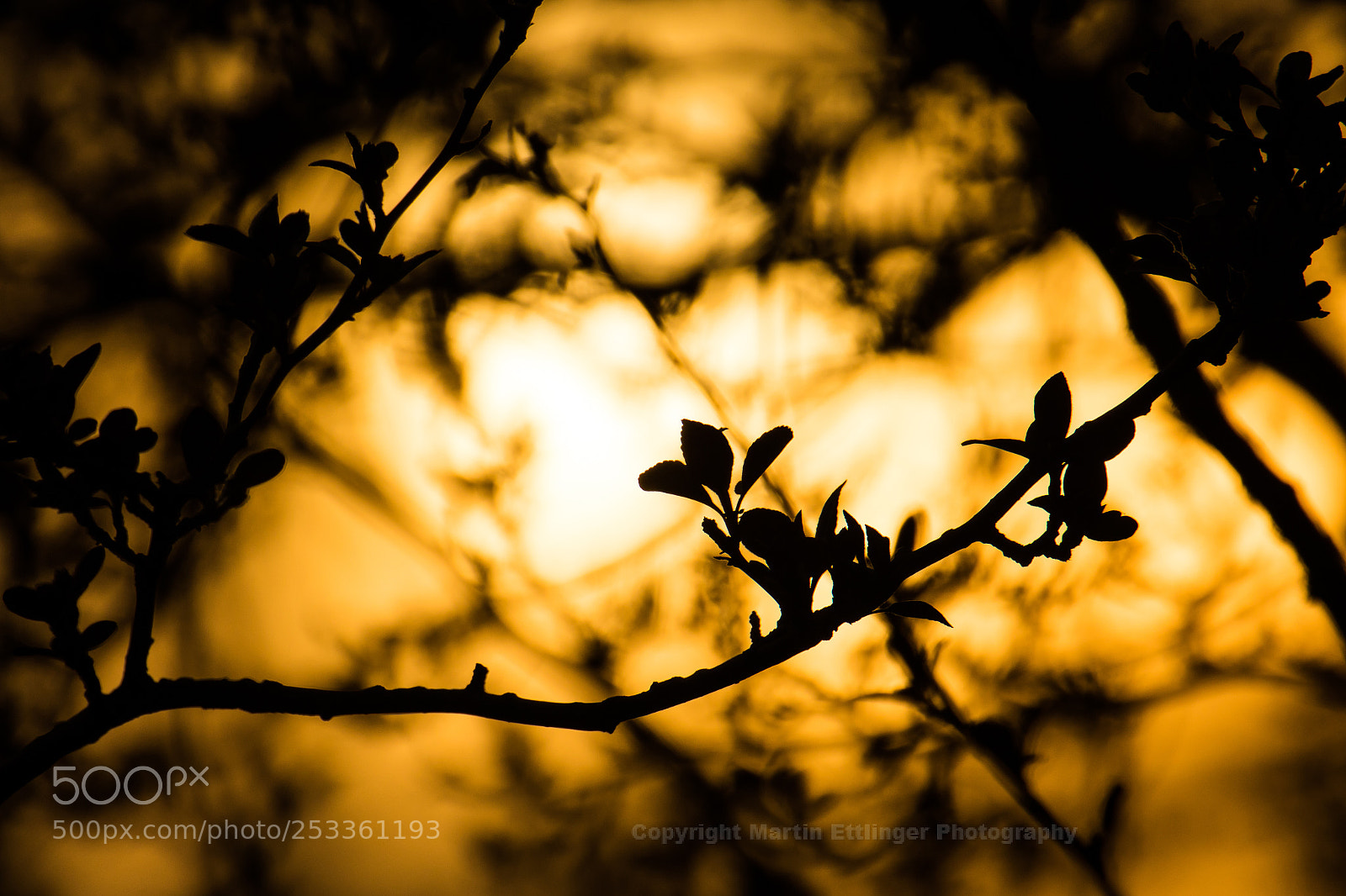 Canon EOS 7D Mark II sample photo. Sunset 12042018 photography