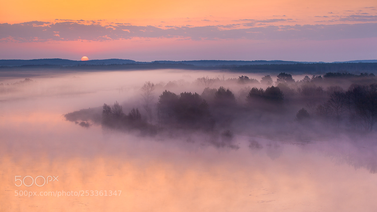 Canon EOS 5D Mark II sample photo. When the day wakes photography