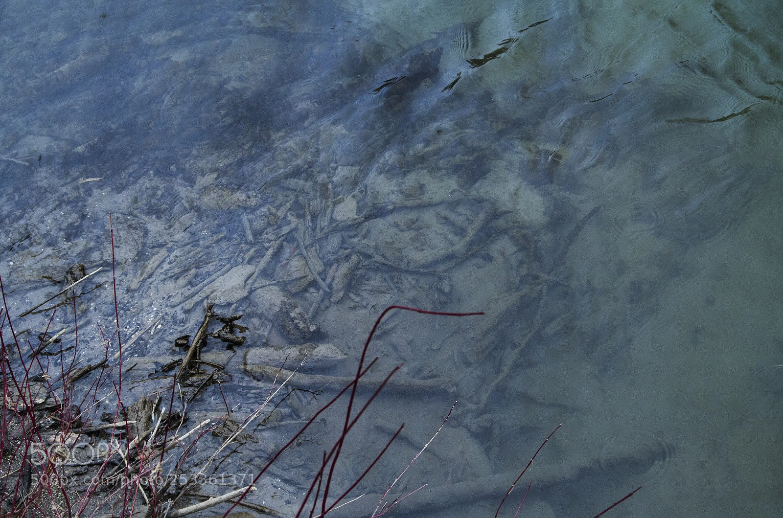 Pentax K-50 sample photo. Waterlevels photography
