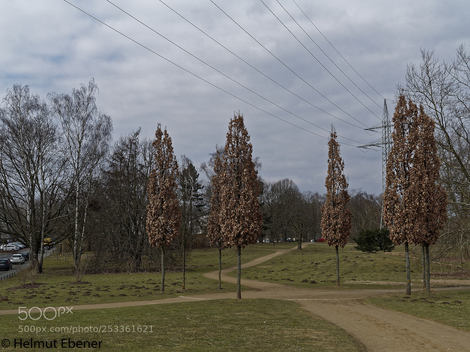 Olympus OM-D E-M5 sample photo. Bs-heidberg, heidbergpark photography