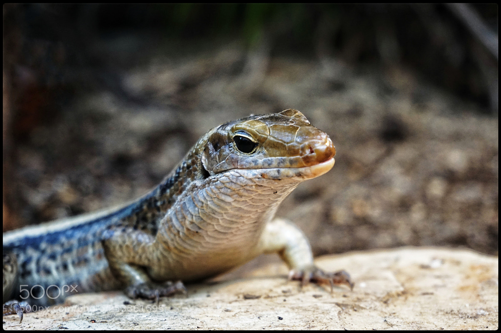Sony a6000 sample photo. ? photography
