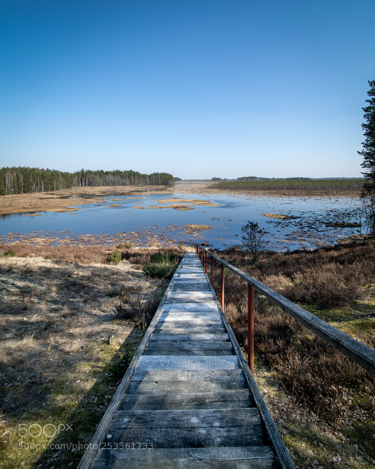 Nikon D5300 sample photo. Trail photography