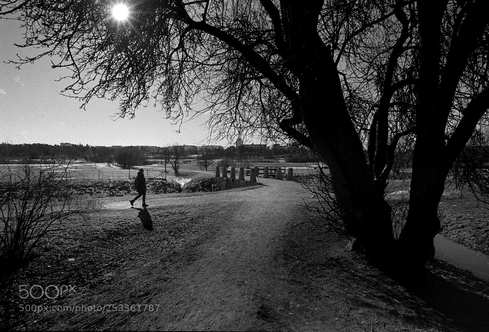 Nikon D700 sample photo. The old road ii photography