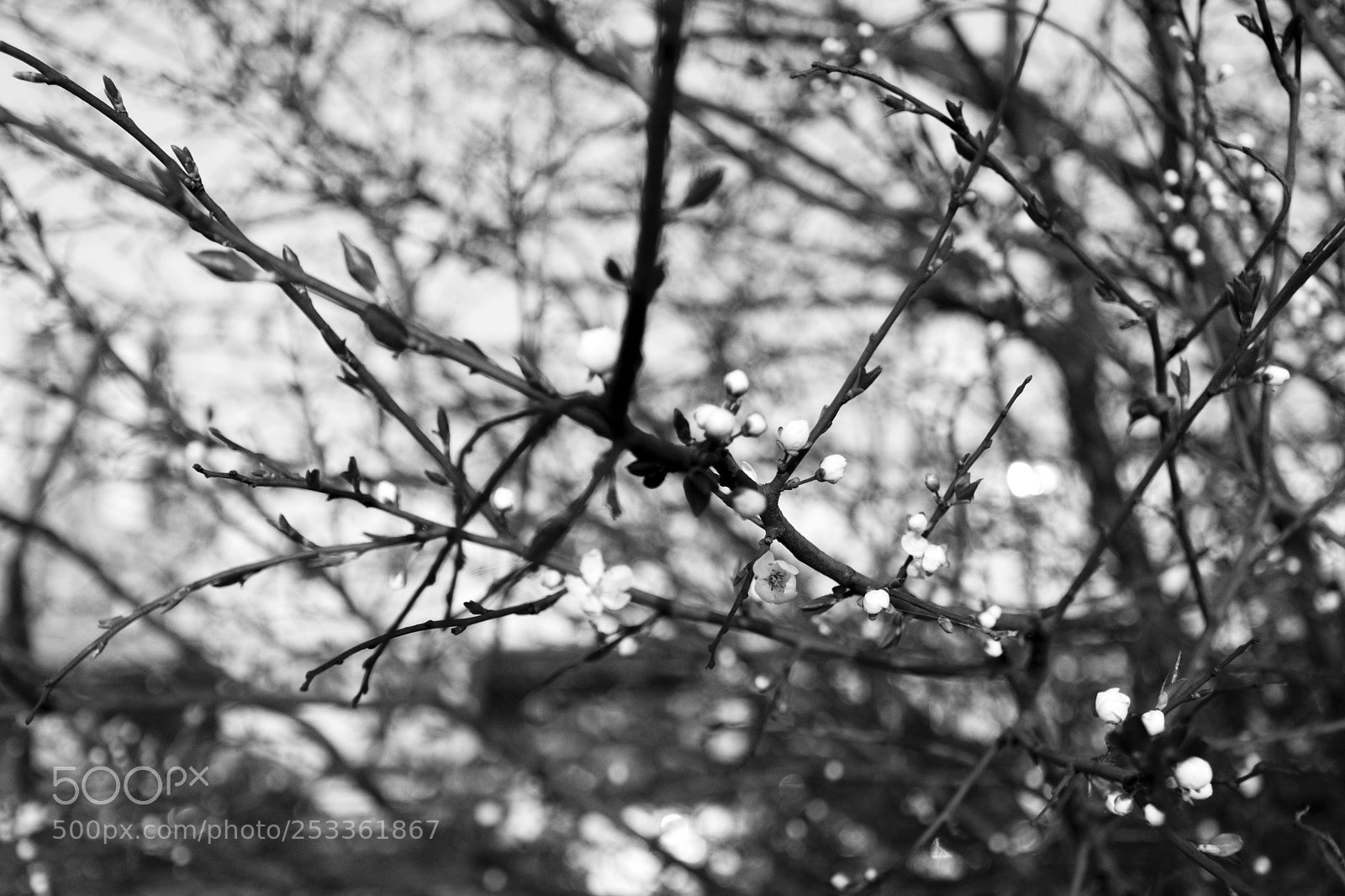 Nikon D5300 sample photo. Untitled photography