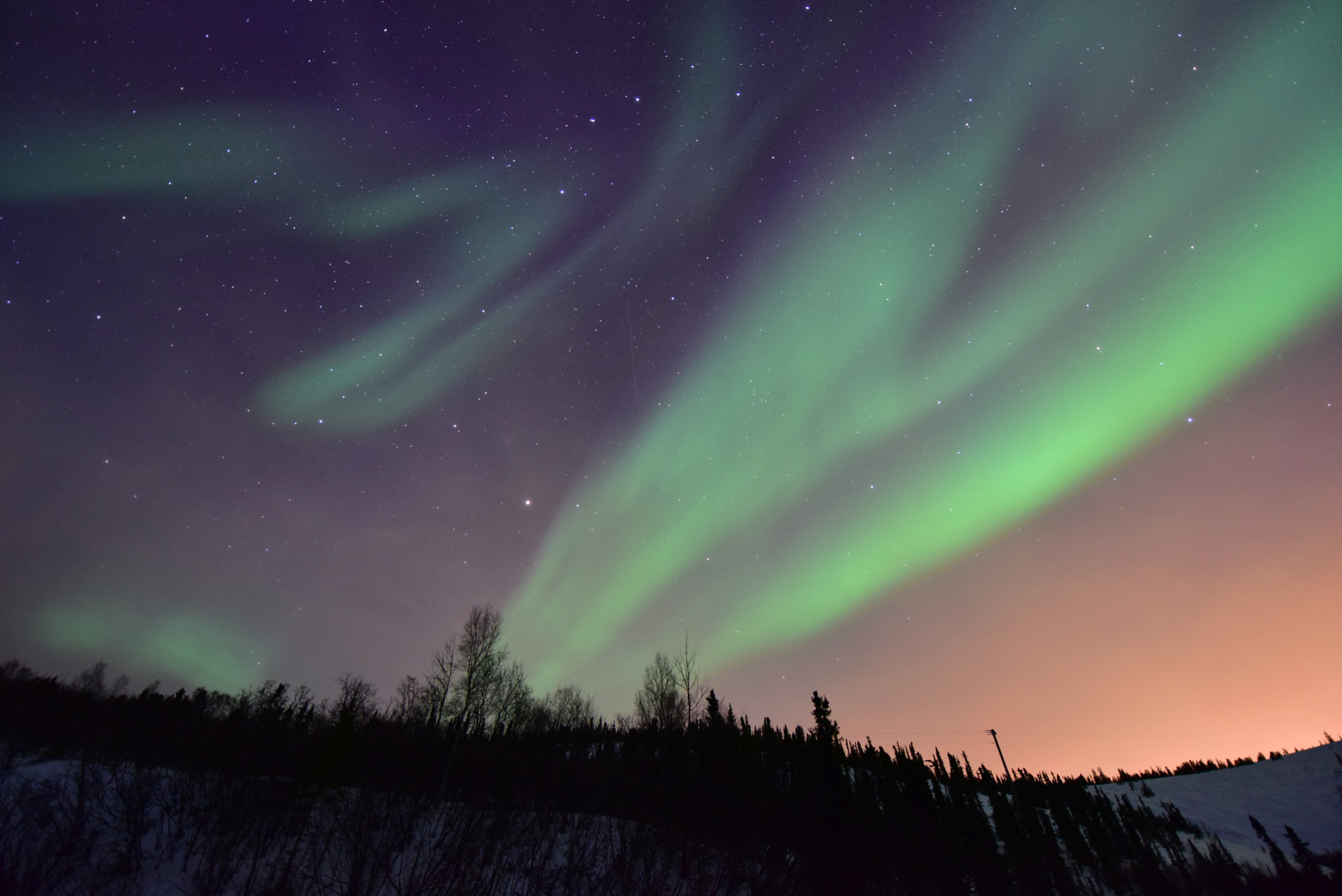 Nikon AF-S Nikkor 14-24mm F2.8G ED sample photo. Dancing aurora borealis photography