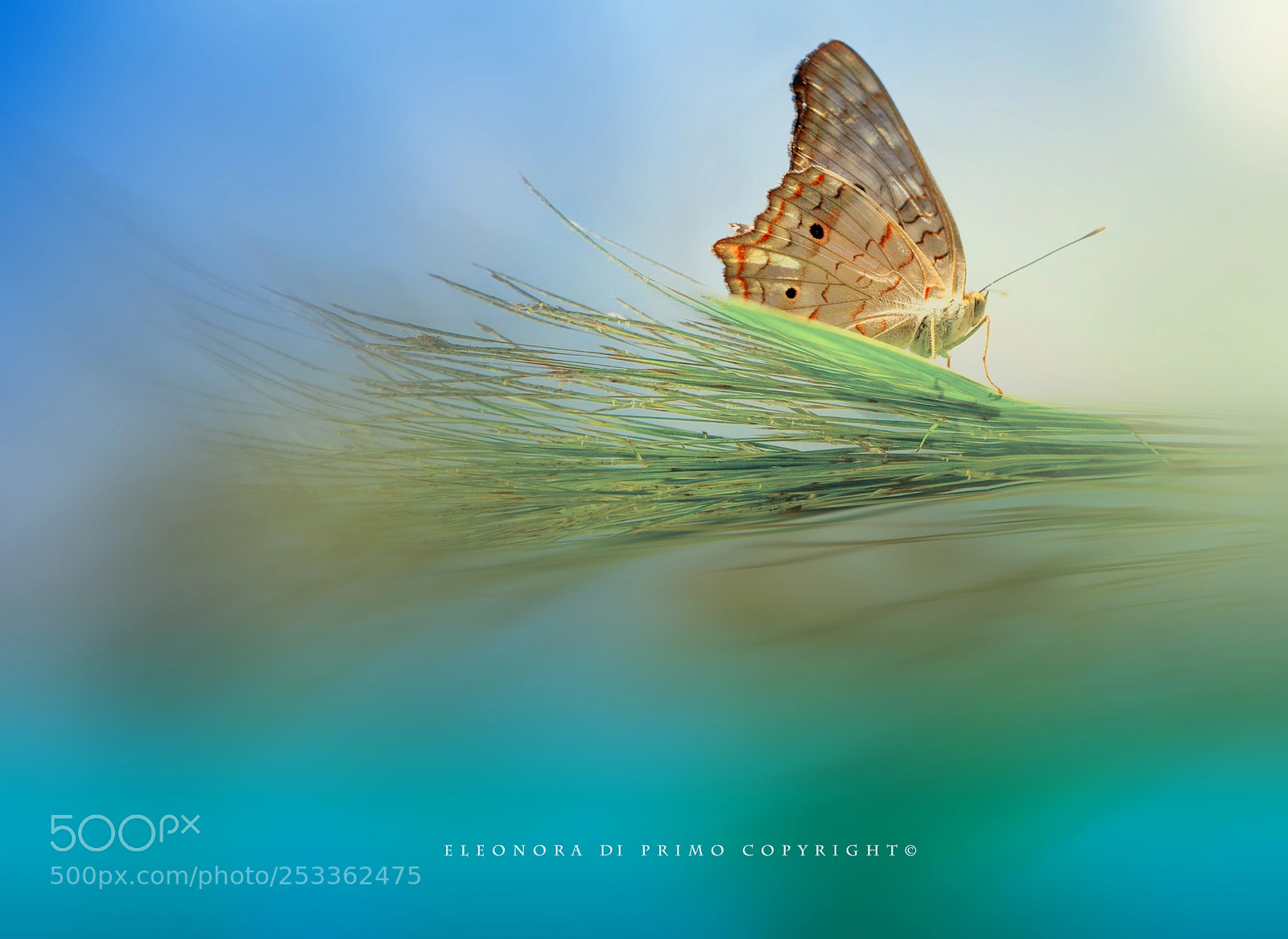 Canon EOS 7D sample photo. Sailing on a high photography