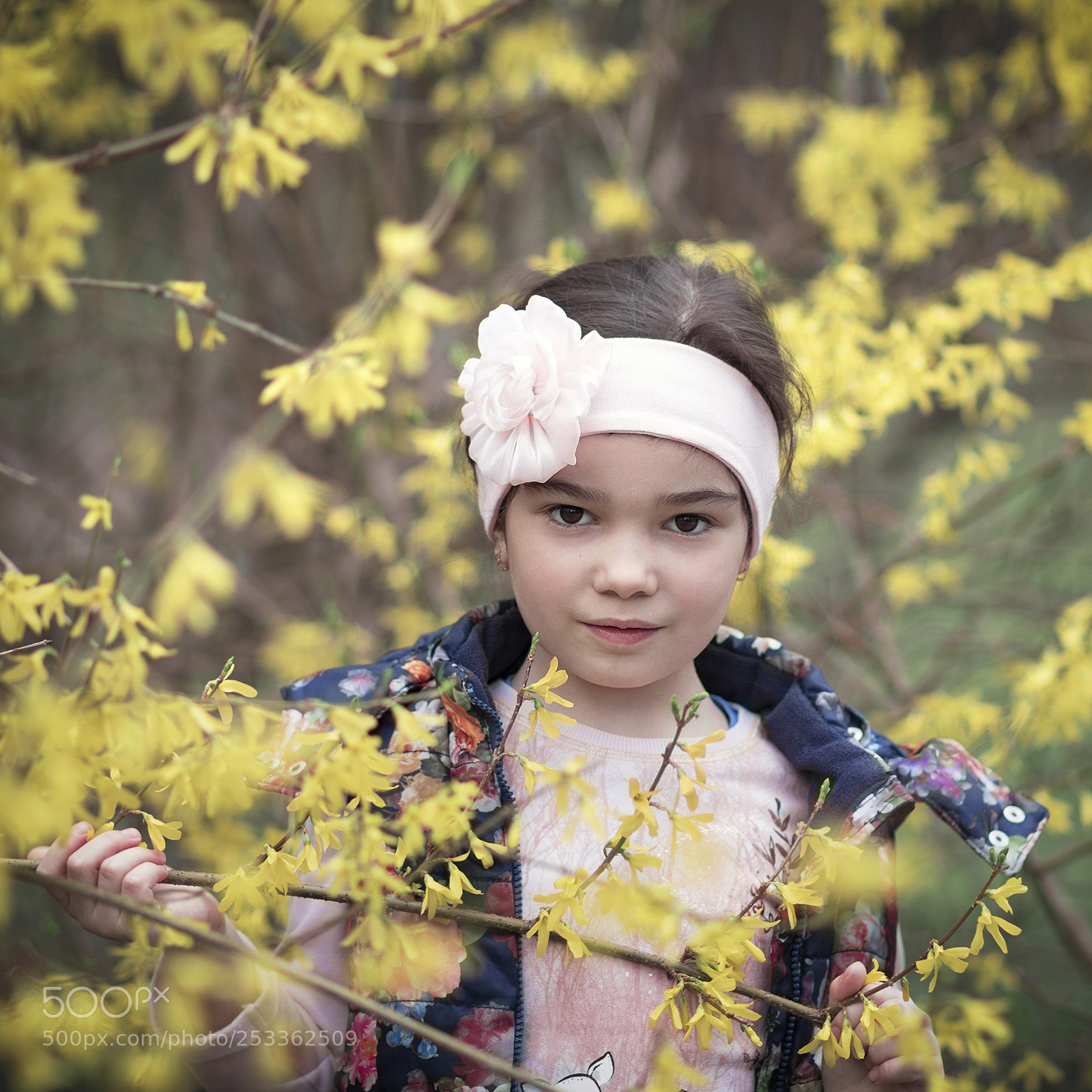 Canon EOS 750D (EOS Rebel T6i / EOS Kiss X8i) sample photo. Blooming yellow tree photography