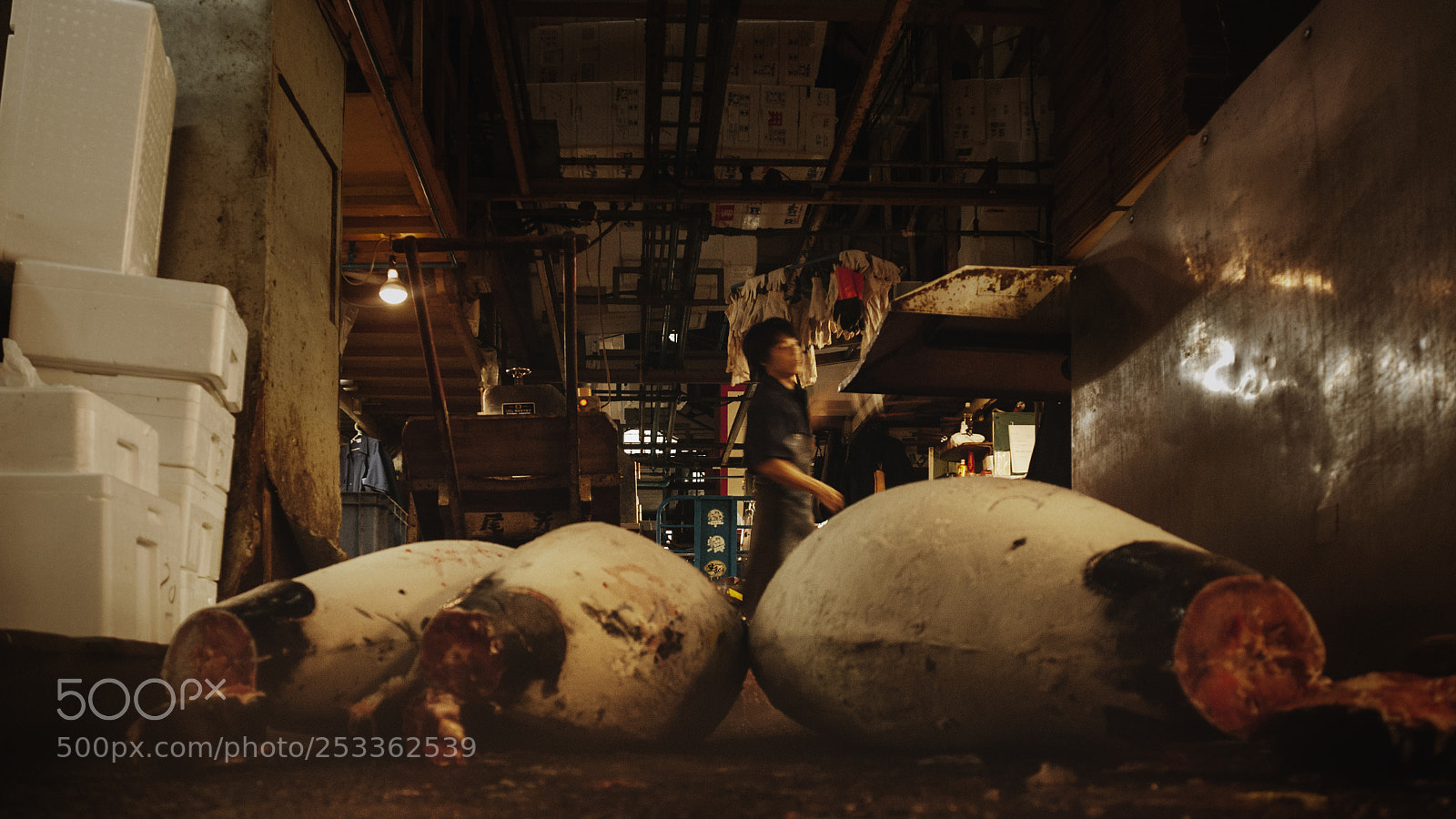 Nikon D80 sample photo. Tuna photography