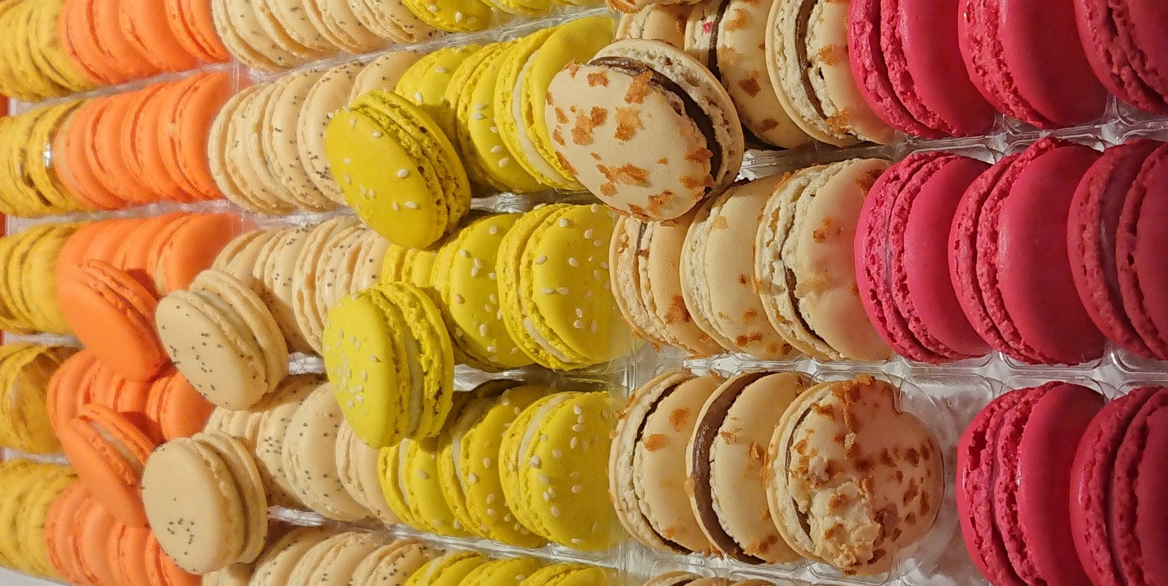 Sony Xperia XZ1 Compact sample photo. Macarons falls photography
