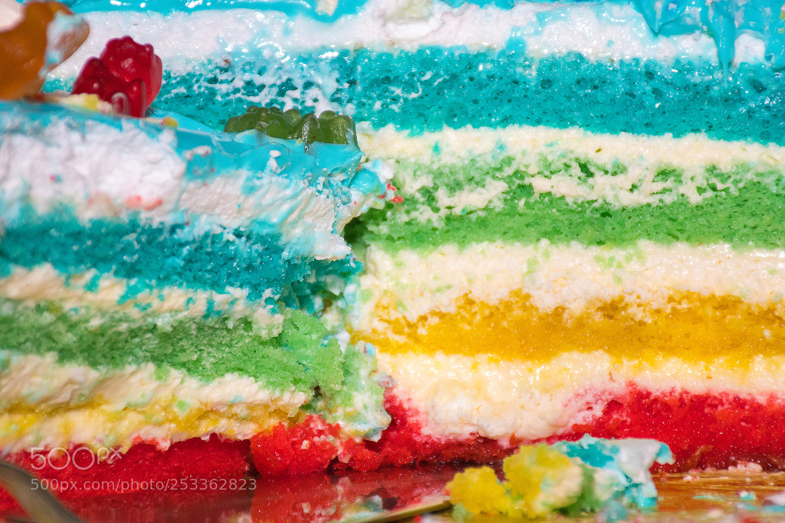 Nikon D500 sample photo. Yammy photography