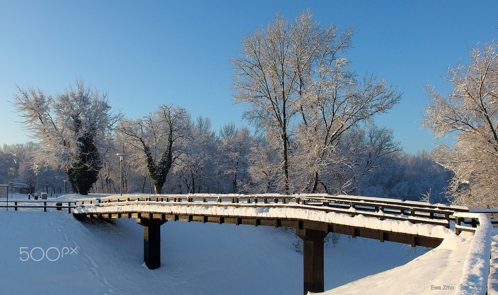 Olympus XZ-2 iHS sample photo. Bridge. photography