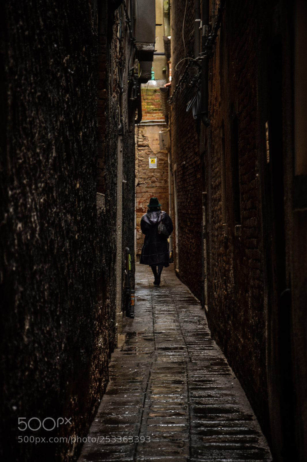 Nikon D5300 sample photo. Venetian woman photography