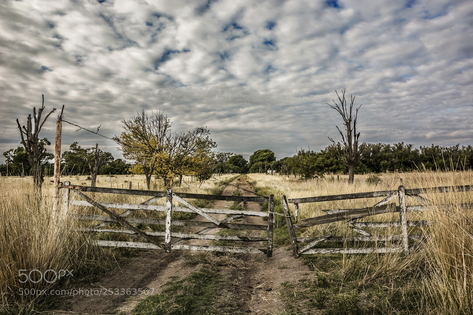 Nikon D7100 sample photo. Camino a baterias photography
