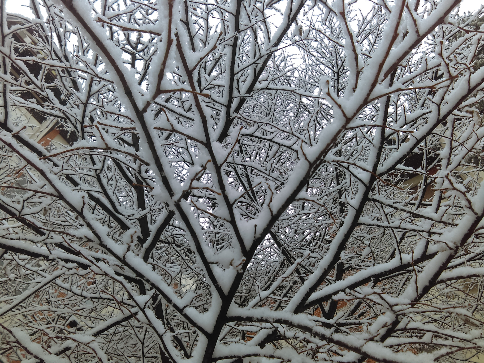 HTC DESRIE D530 sample photo. Snow photography
