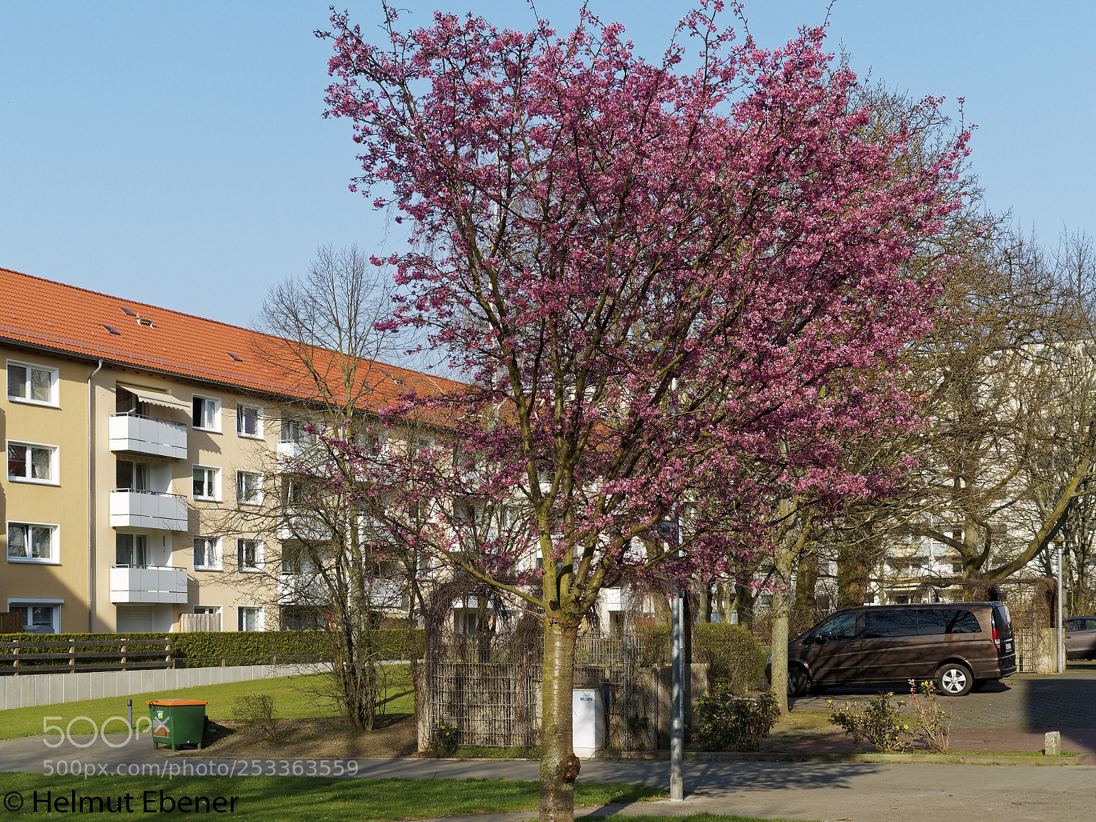 Olympus OM-D E-M5 sample photo. Bs-heidberg, ... es ist photography