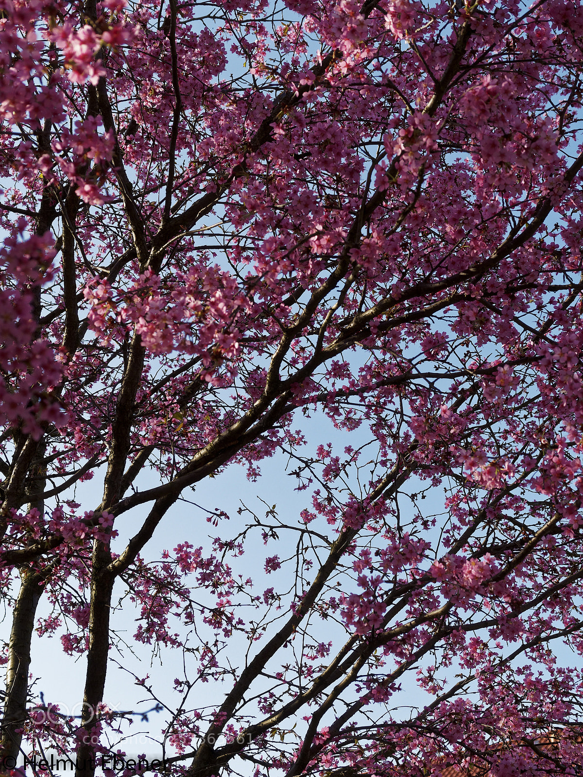 Olympus OM-D E-M5 sample photo. Bs-heidberg, ... es ist photography