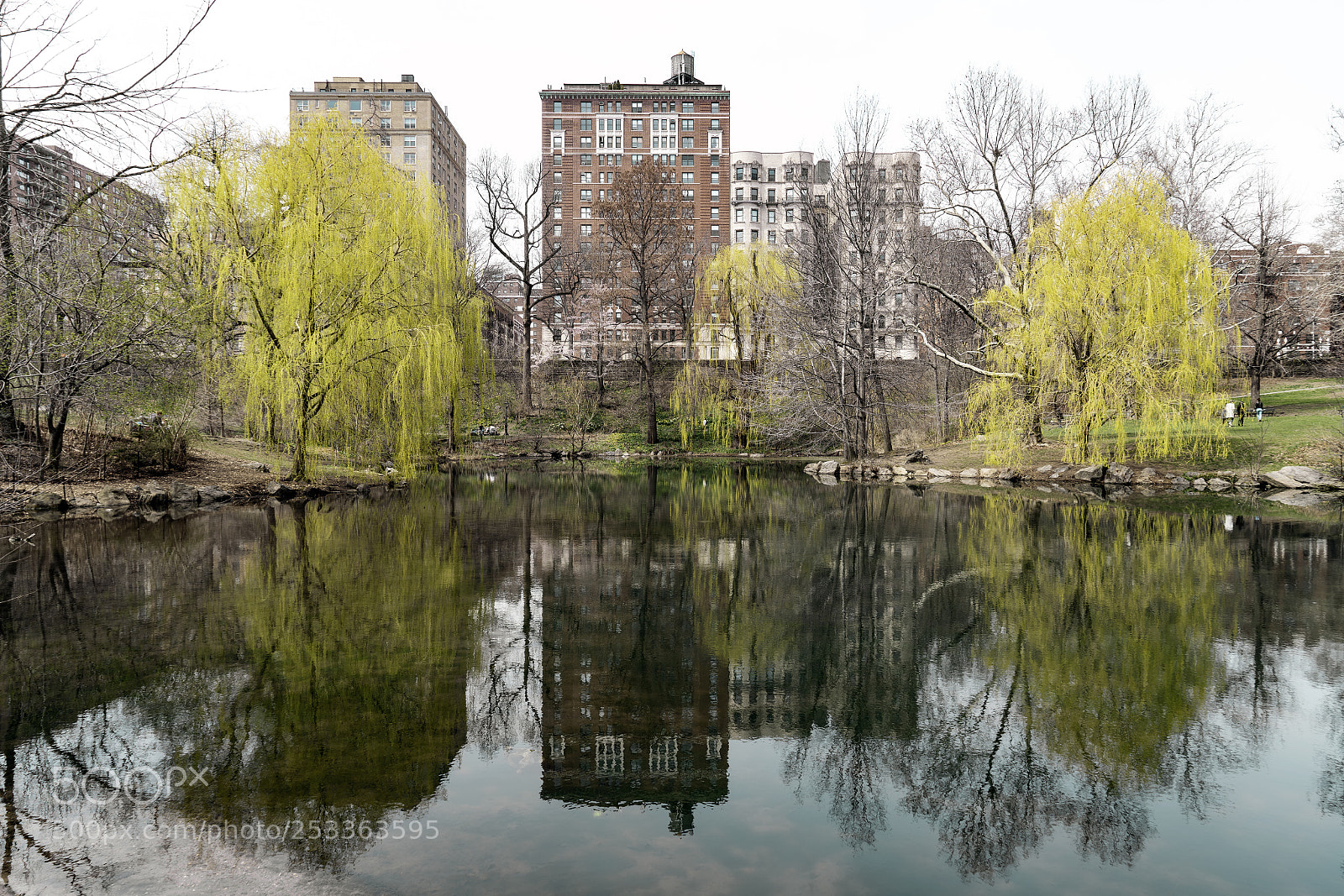 Sony a7R II sample photo. Three willows photography