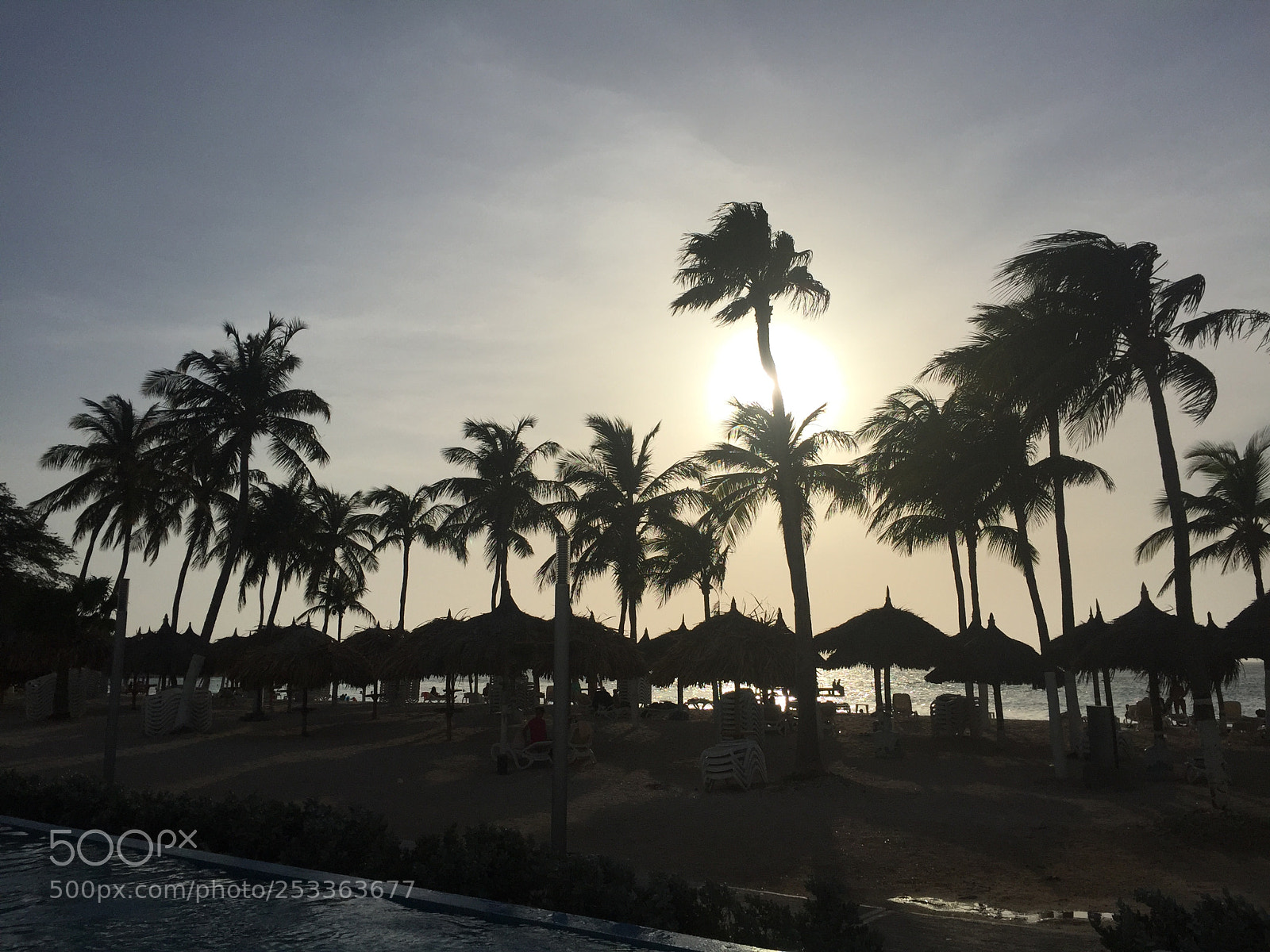 Apple iPhone 6 sample photo. Img photography
