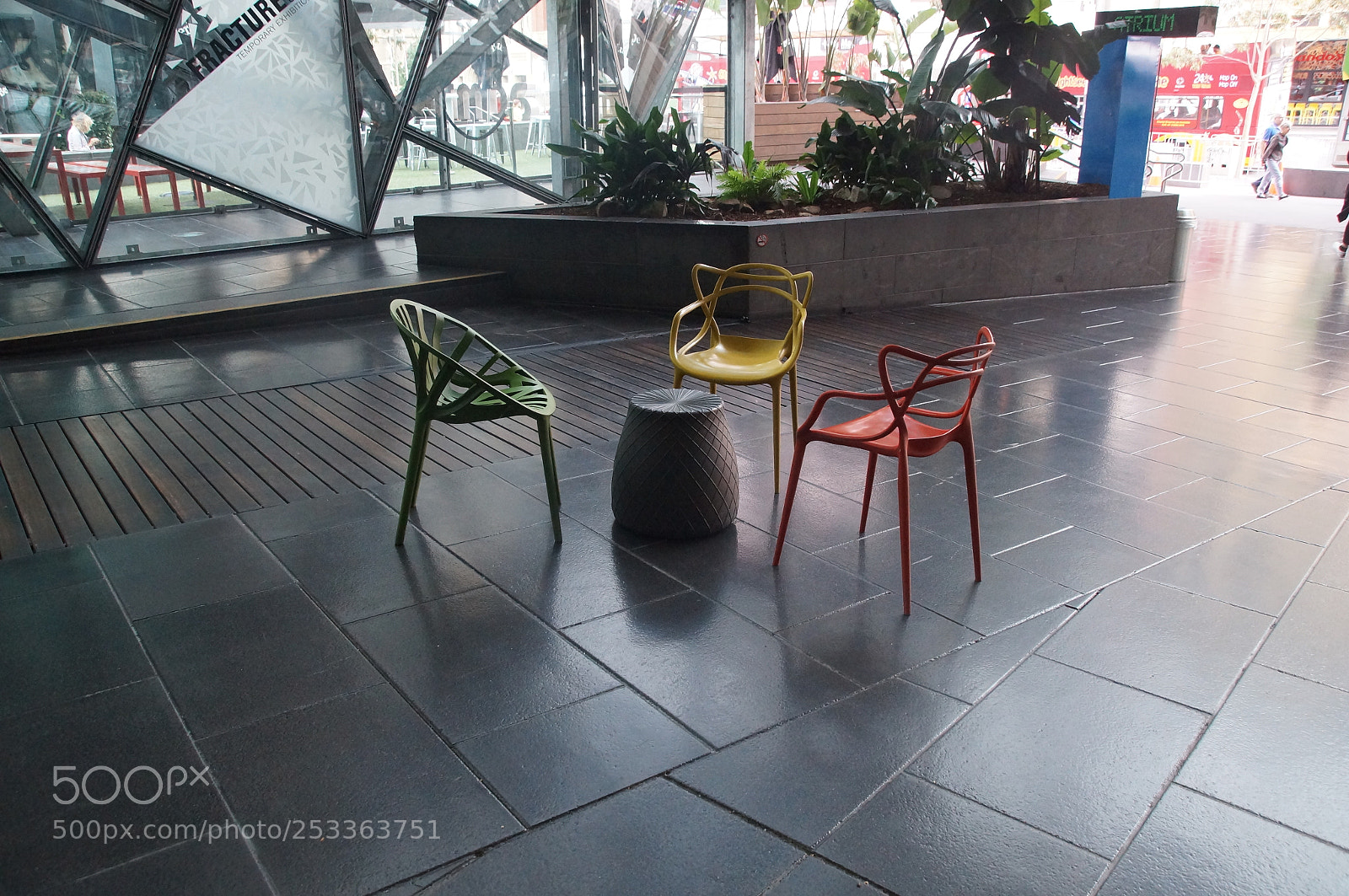 Sony SLT-A37 sample photo. Three's not a crowd photography