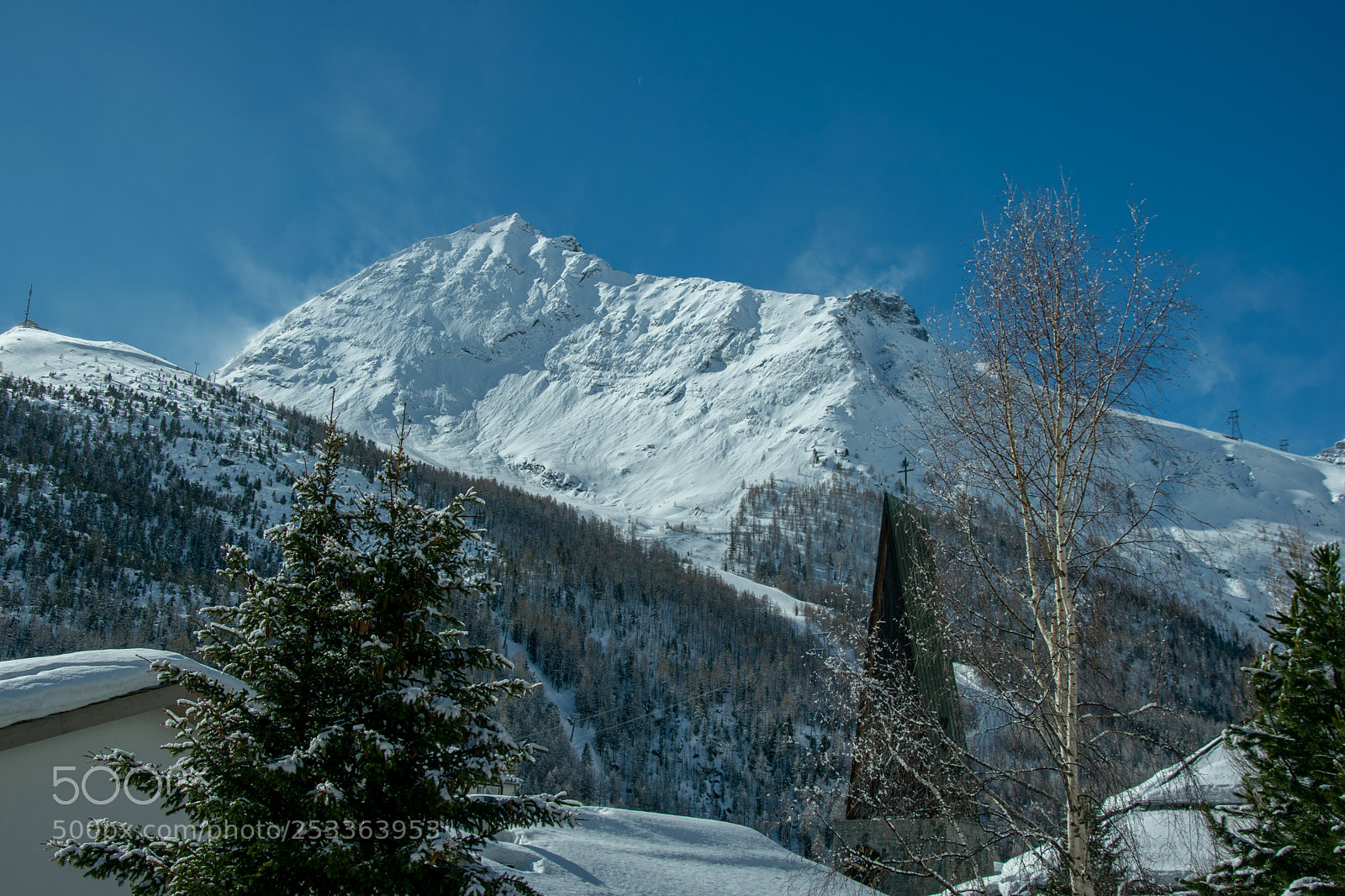 Nikon D5300 sample photo. Fresh snow photography