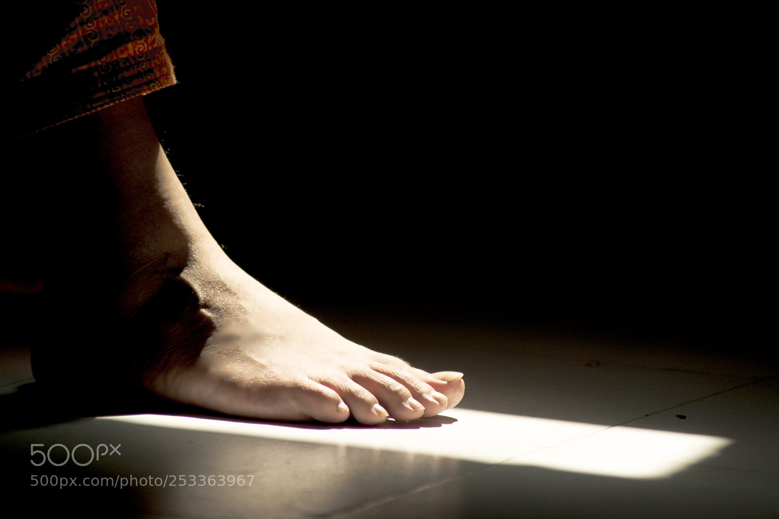 Nikon D7100 sample photo. Towards  the light photography