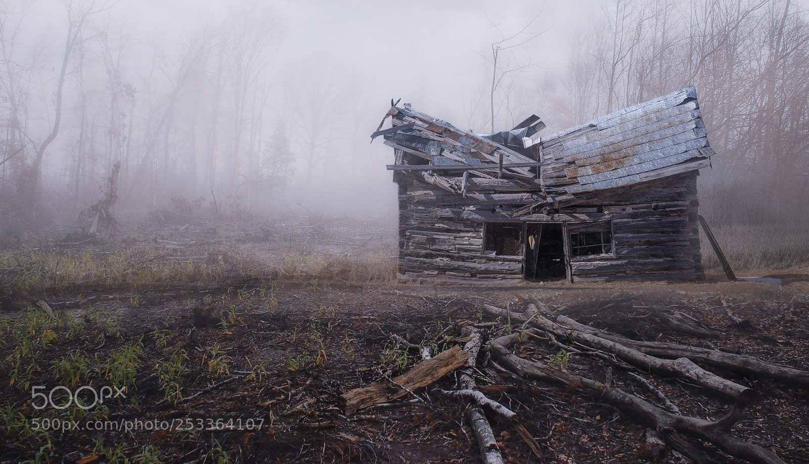 Nikon D810 sample photo. Entropy... photography