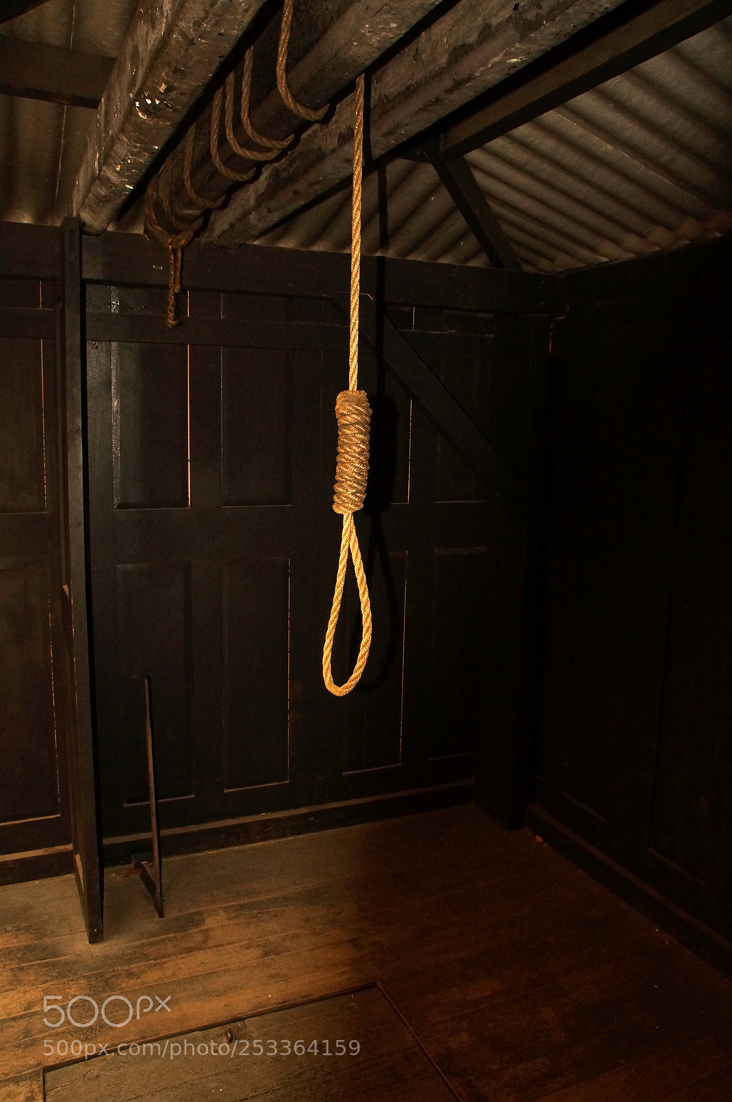 Sony SLT-A37 sample photo. Mortality and the noose photography