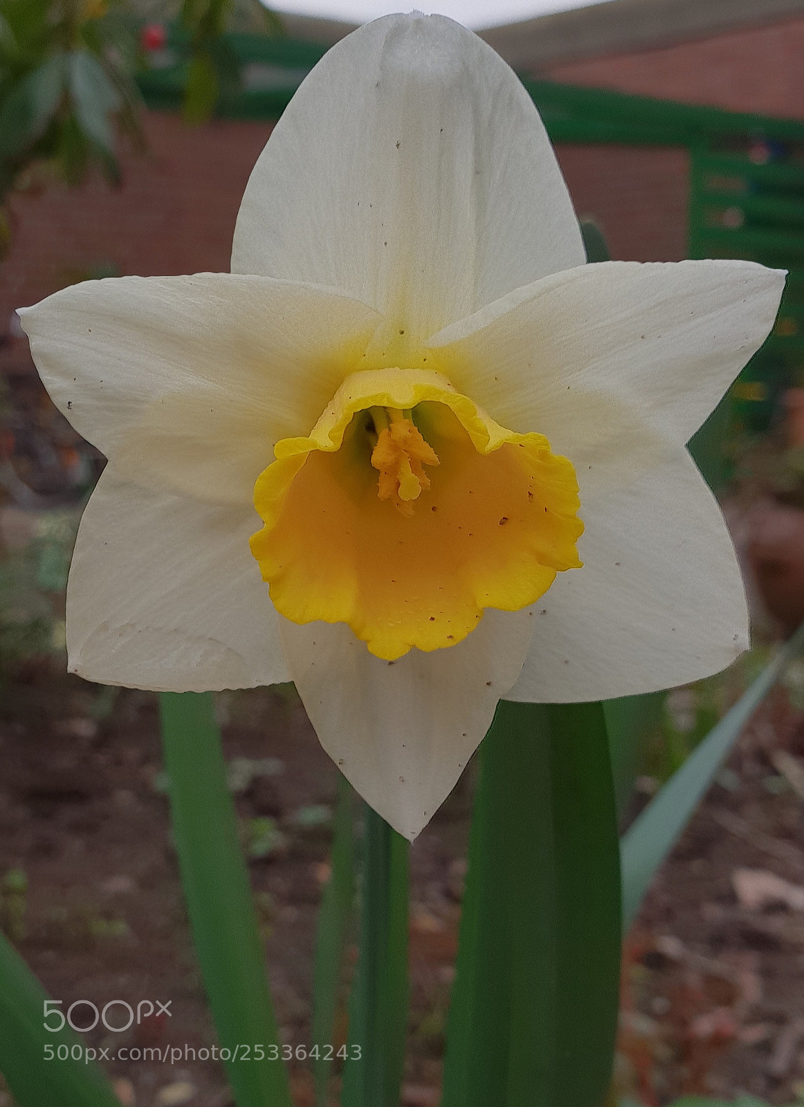 Samsung Galaxy S9+ sample photo. Untitled photography