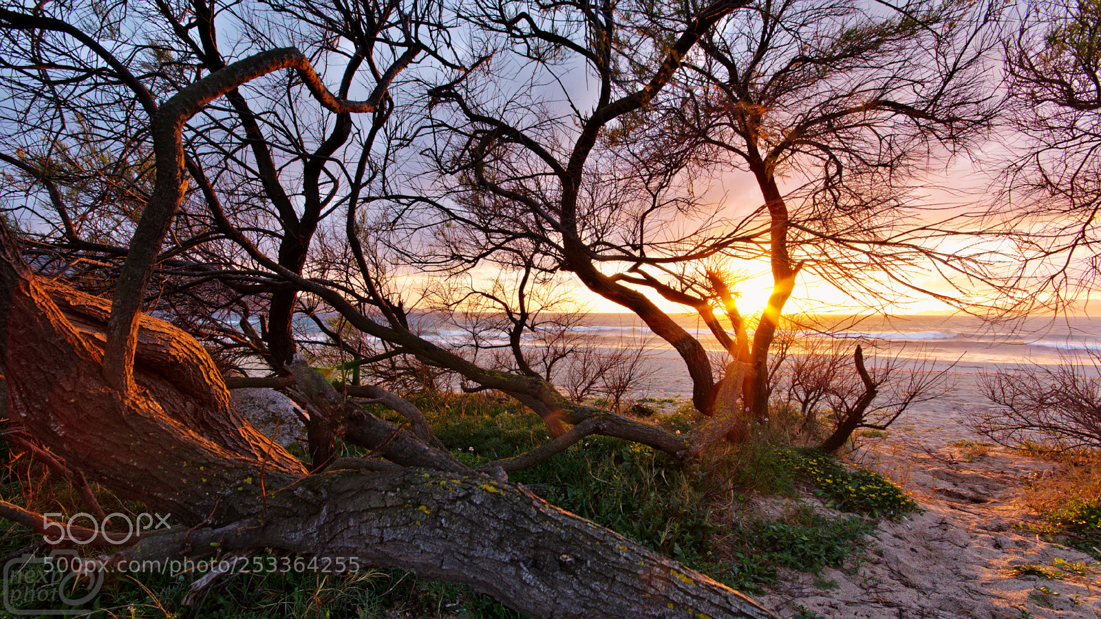 Nikon D7100 sample photo. Sunset at capu laurosu photography