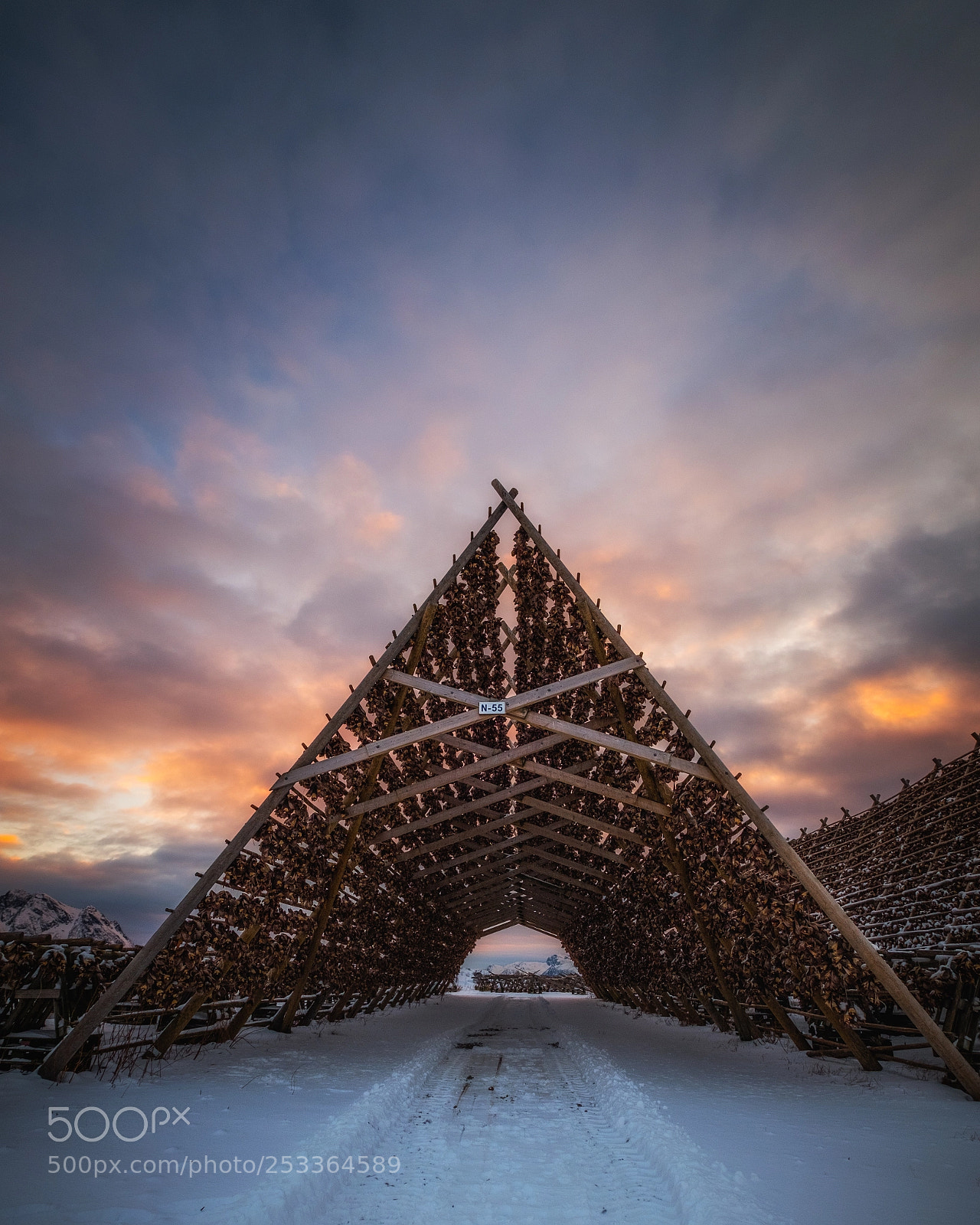 Fujifilm X-T2 sample photo. Lofoten - drying cod photography