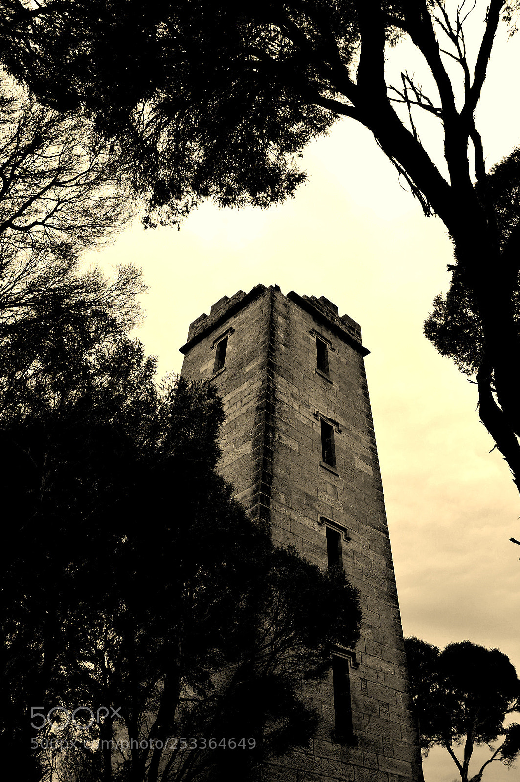 Sony SLT-A37 sample photo. The dark tower photography