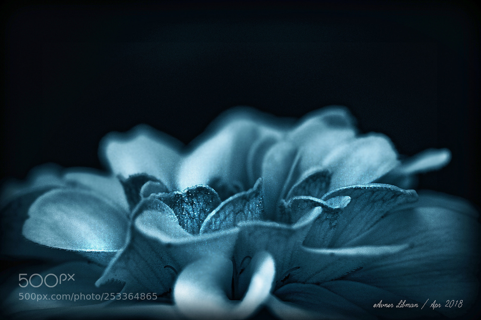 Canon EOS 7D Mark II sample photo. Blue photography