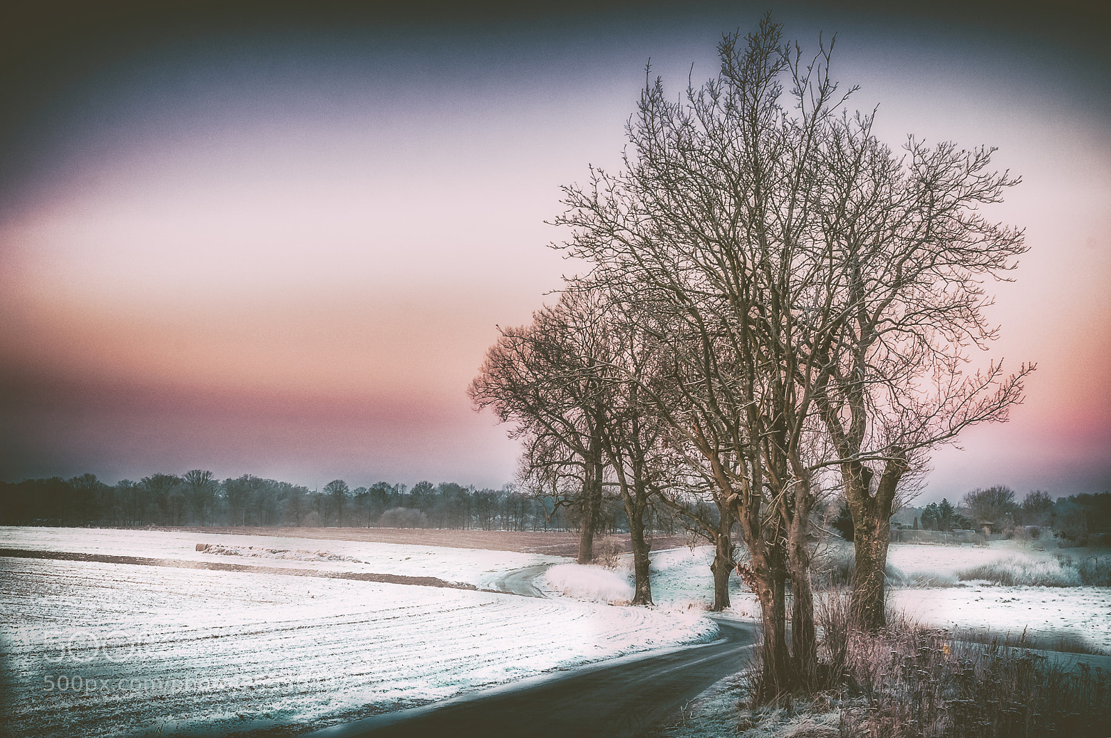 Nikon D300S sample photo. Frosty dawn photography