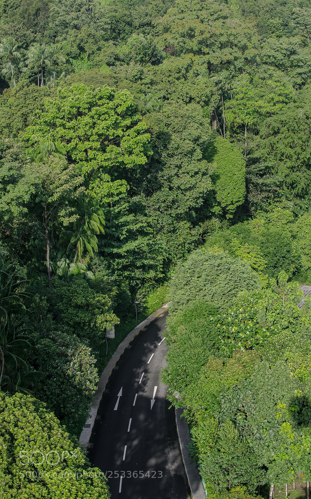 Nikon D5100 sample photo. Singapore on the way photography