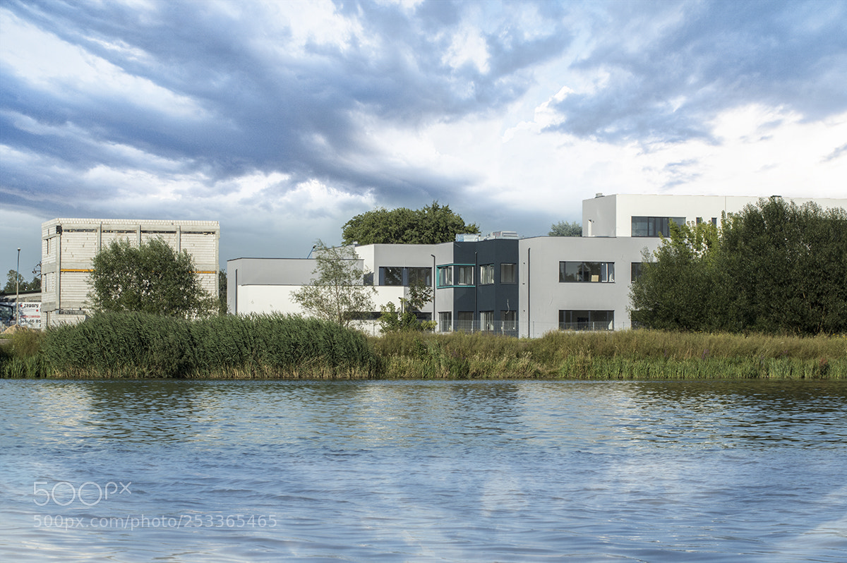 Nikon D3200 sample photo. School at the water photography