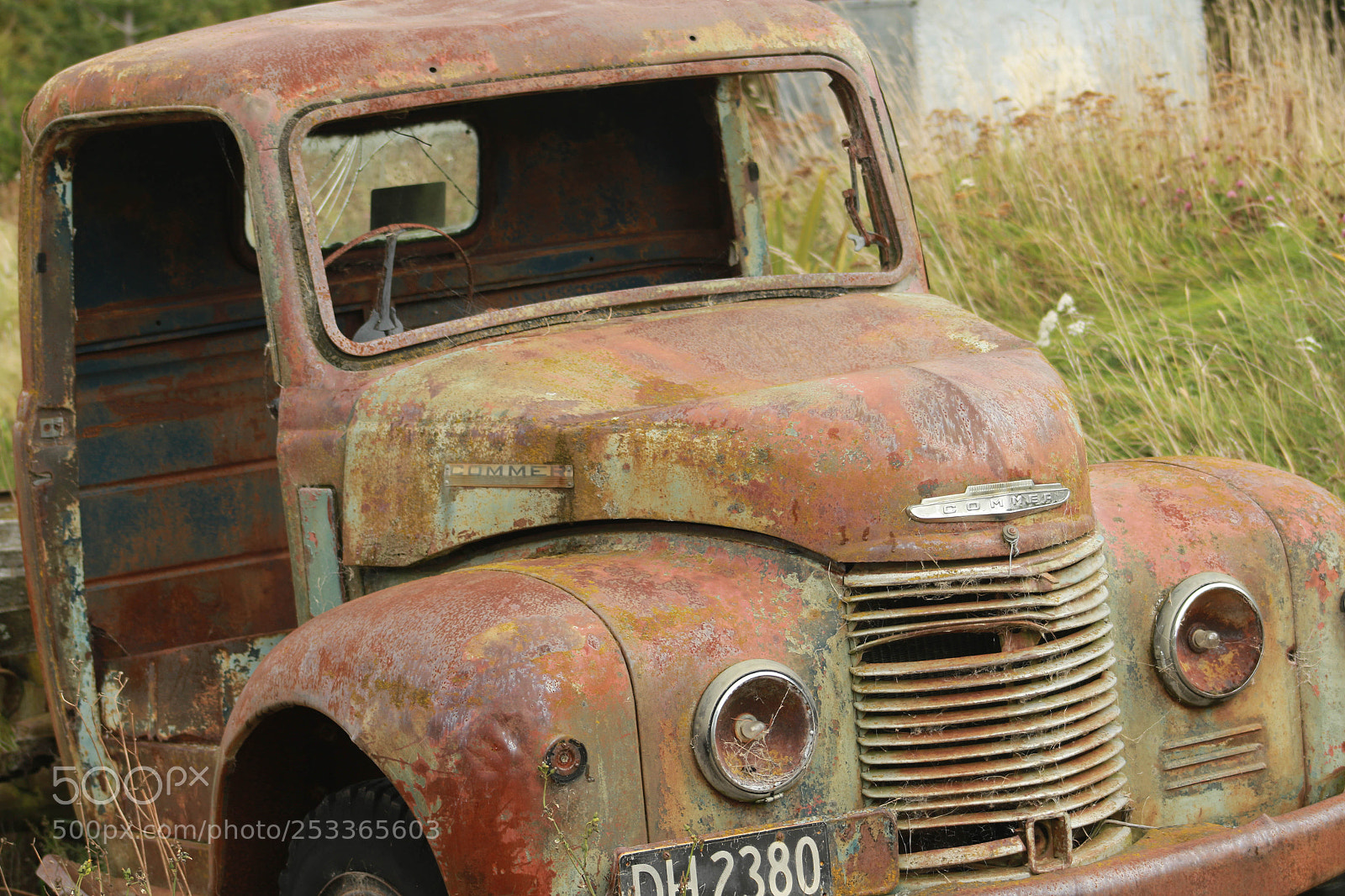 Canon EOS 7D Mark II sample photo. Natures paint job photography